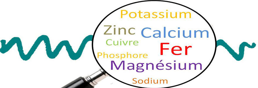 oligo éléments indispensables